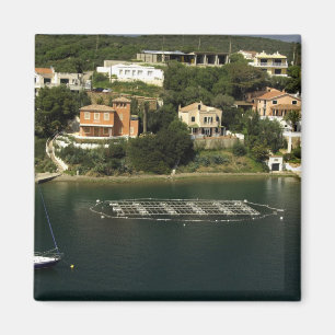 Europe, Spain, Minorca (aka Menorca). Fish Magnet