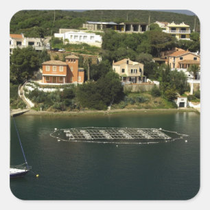 Europe, Spain, Minorca (aka Menorca). Fish Square Sticker