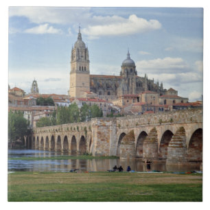 Europe, Spain, Salamanca. The Roman bridge over Tile