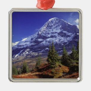Europe, Switzerland, Eiger. Fall colours abound Metal Tree Decoration