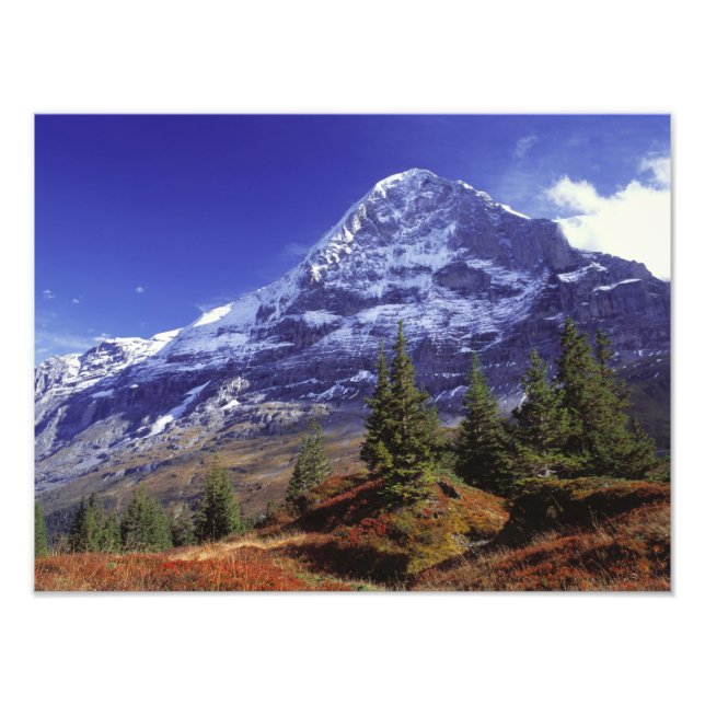 Europe, Switzerland, Eiger. Fall colours abound Photo Print (Front)