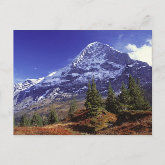 Europe, Switzerland, Eiger. Fall colours abound Postcard (Front)