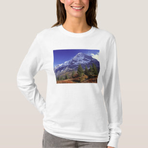 Europe, Switzerland, Eiger. Fall colours abound T-Shirt