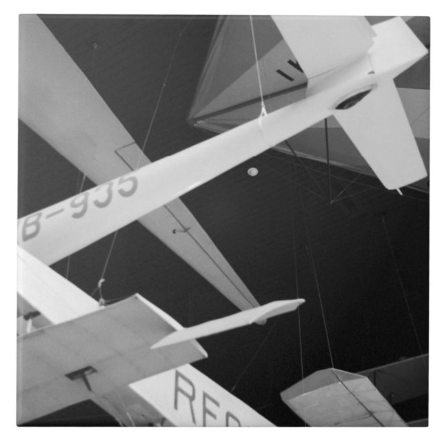 Europe, Switzerland, Lucerne. Aerial glider Tile (Front)