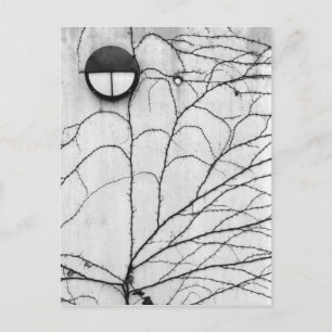 Europe, Switzerland, Lucerne. Ivy pattern on Postcard