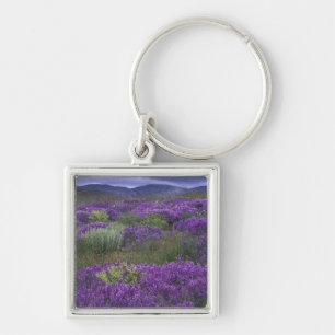 Europe, Turkey, Cappadocia. Rural landscape 2 Key Ring