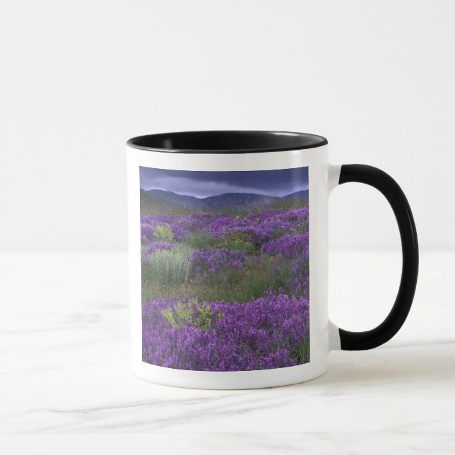 Europe, Turkey, Cappadocia. Rural landscape 2 Mug (Right)