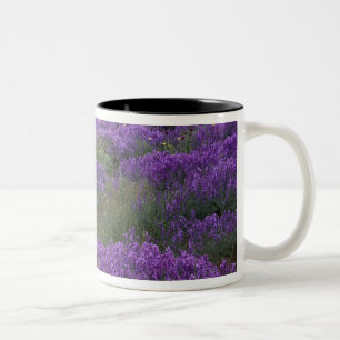 Europe, Turkey, Cappadocia. Rural landscape 2 Two-Tone Coffee Mug