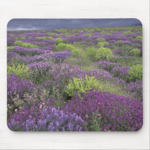 Europe, Turkey, Cappadocia. Rural landscape 3 Mouse Mat
