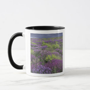 Europe, Turkey, Cappadocia. Rural landscape 3 Mug