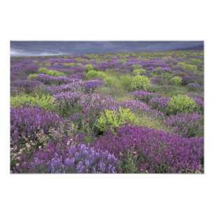 Europe, Turkey, Cappadocia. Rural landscape 3 Photo Print