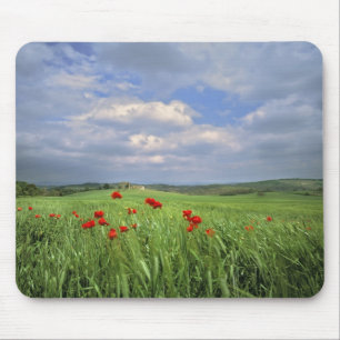 Europe, Tuscany, Poggiolo. Red poppies sway Mouse Mat