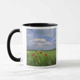 Europe, Tuscany, Poggiolo. Red poppies sway Mug