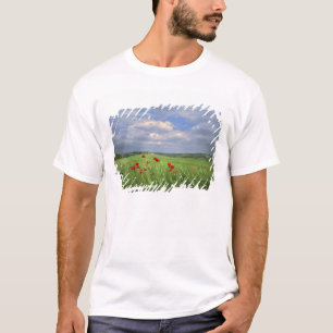 Europe, Tuscany, Poggiolo. Red poppies sway T-Shirt
