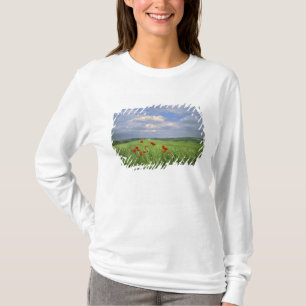 Europe, Tuscany, Poggiolo. Red poppies sway T-Shirt
