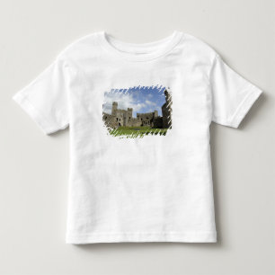 Europe, Wales, Caernarfon. Caernarfon Castle, Toddler T-Shirt
