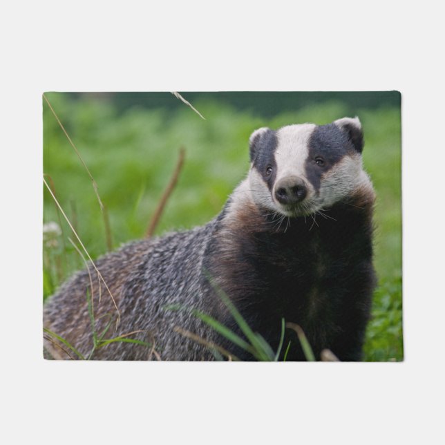 European Badger Door Mat (Front)