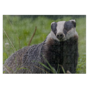 European Badger Rectangular Cutting Board