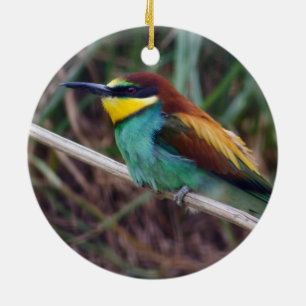 European Bee-eater Ceramic Tree Decoration