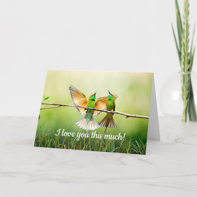 European Bee-Eater Colorful Bird   Card (Front)