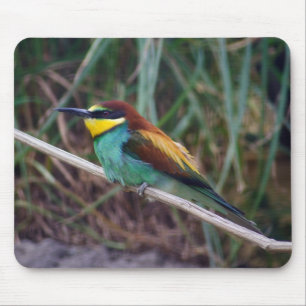 European Bee-eater Mouse Mat
