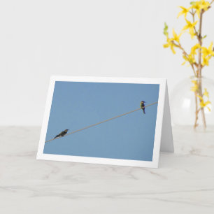European bee-eaters on Wire Card