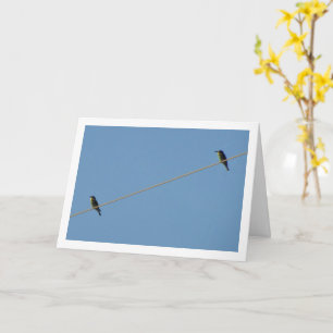 European bee-eaters on Wire Card