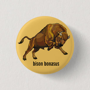 european bison 3 cm round badge