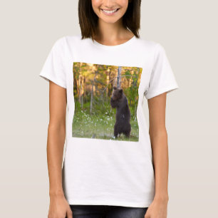 European brown bear (Ursus arctos) hugging tree T-Shirt