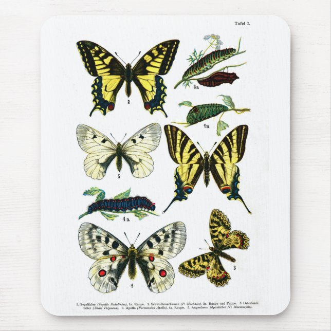European Butterflies Plate I Mouse Mat (Front)
