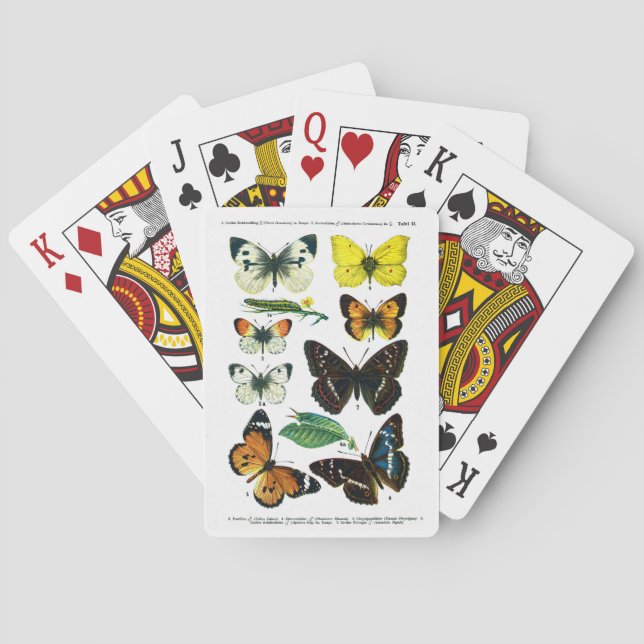 European Butterflies Plate II Playing Cards (Back)