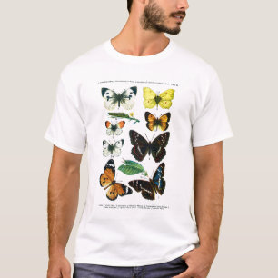European Butterflies Plate II T-Shirt