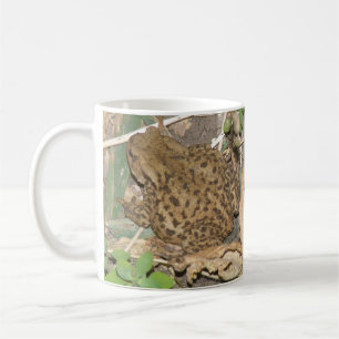 European Common Toad Coffee Mug