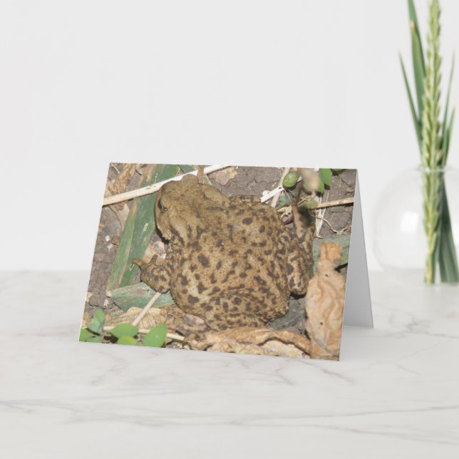 European Common Toad Greeting Card (Front)