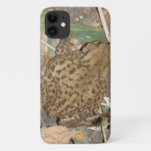 European Common Toad iPhone 3 Case