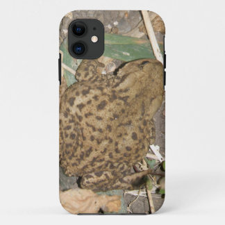 European Common Toad iPhone 5 Case