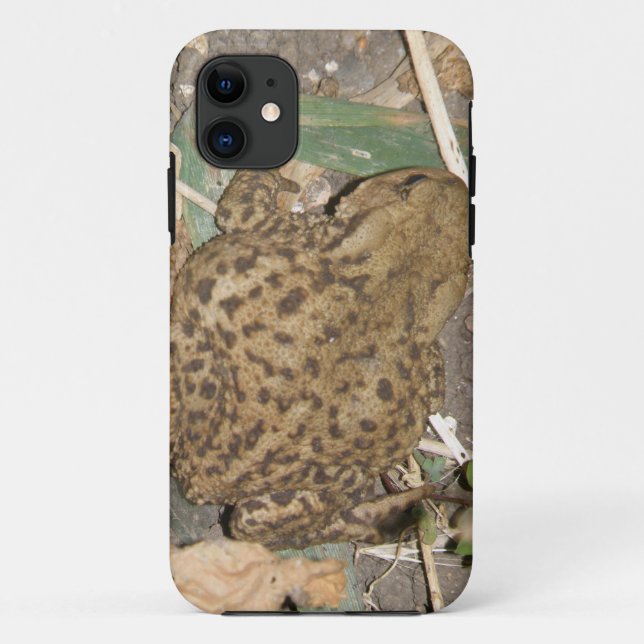 European Common Toad iPhone 5 Case (Back)