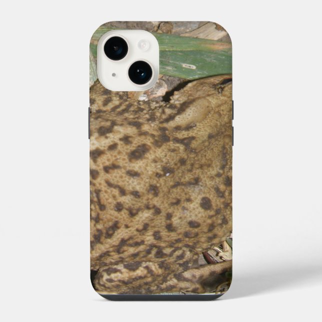 European Common Toad iPhone Case (Back)