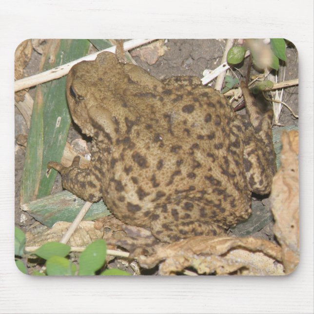 European Common Toad Mousepad (Front)