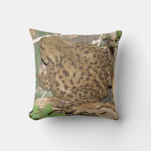 European Common Toad Pillow
