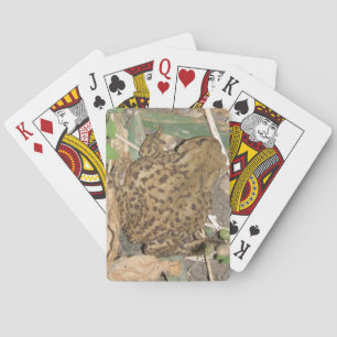 European Common Toad Playing Cards