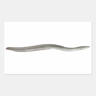 European Eel Rectangular Sticker