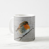 European English Robin bird red breasts driftwood