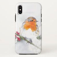 European English Robin Bird Winter Holly Berries