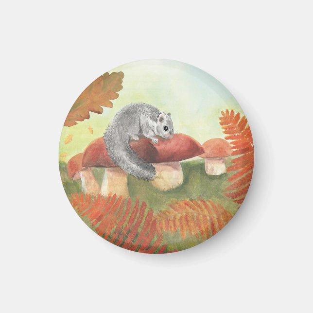 European Fat Dormouse (Glis glis) in Nature   Magnet (Front)