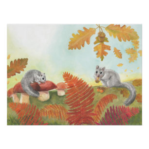 European Fat Dormouse (Glis glis) in Nature  Poster