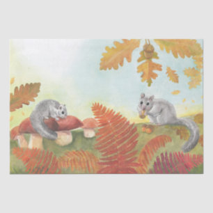 European Fat Dormouse Glis glis in Nature  Tissue Paper