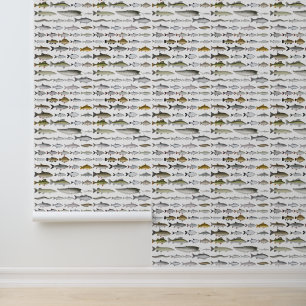 European Freshwater Fish Group Wallpaper