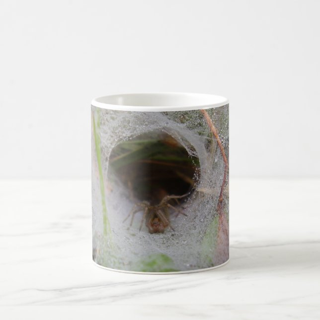 European Funnel Web Spider Bug Mug (Center)