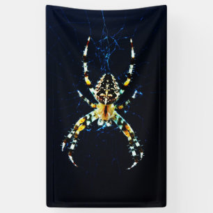 European Garden Spider bnrcna Banner